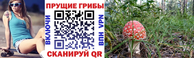 купить   Агрыз  Галлюциногенные грибы мухоморы 